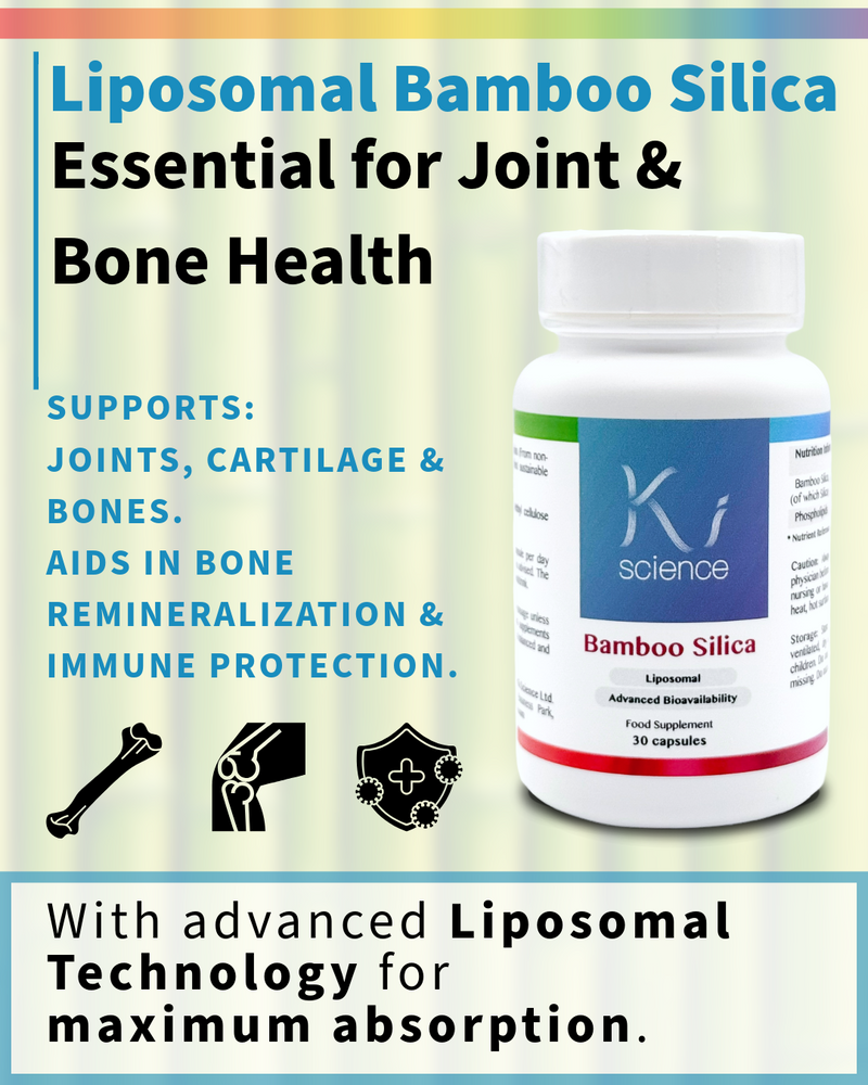 Liposomal Bamboo Silica
