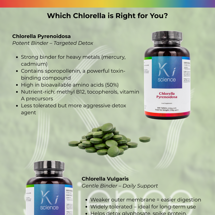 Chlorella