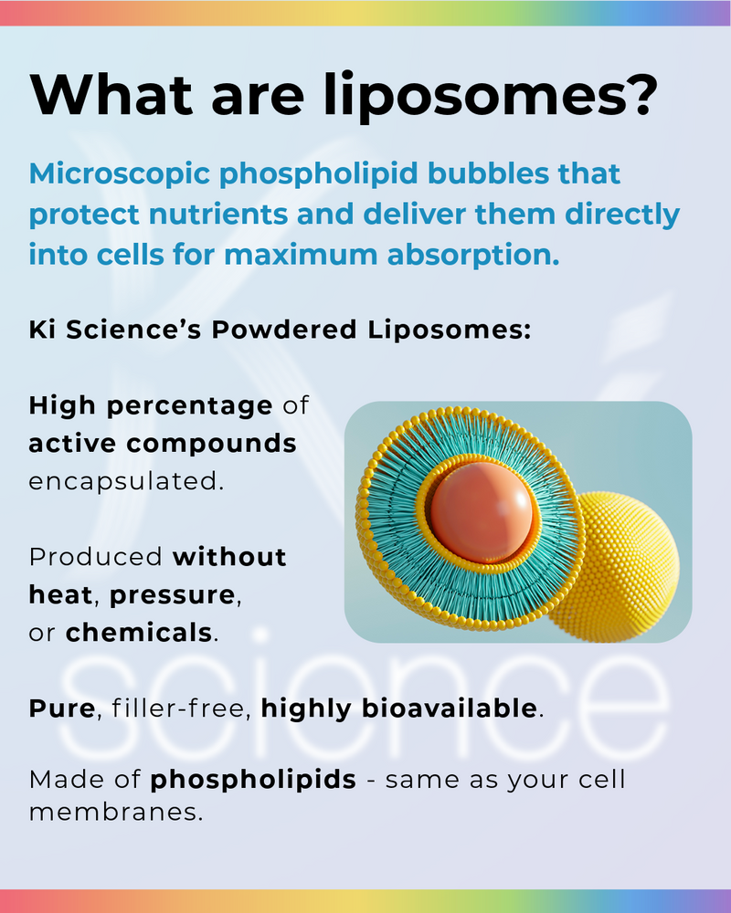 Why Choose Liposomal Delivery