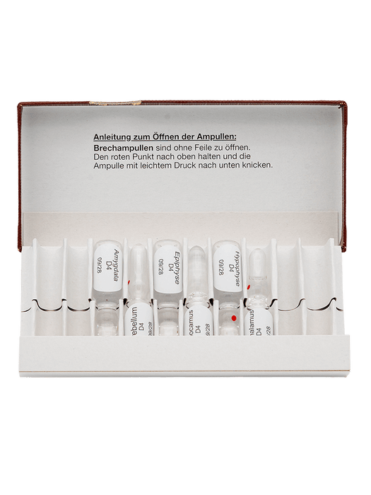 Brain Test Kit