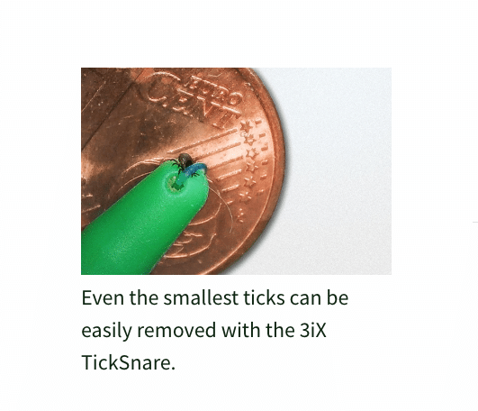 Tick ​​Lasso 3iX 
