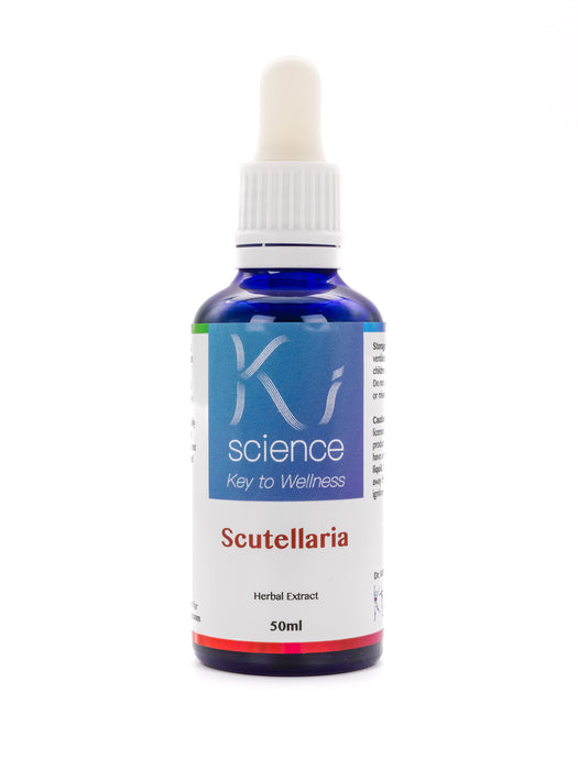Scutellaria