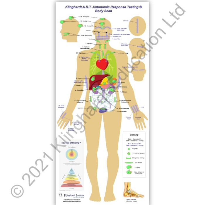 Klinghardt A.R.T. Autonomic Response Testing ®Roll-out Body Scan Aid - Small